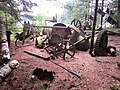 The rusted gears and body of this ancient logging tool lie on a piney forest floor. The parts are strewn about, long abandoned on this remote island.