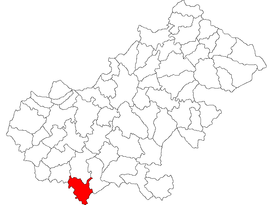 Location in Satu Mare County