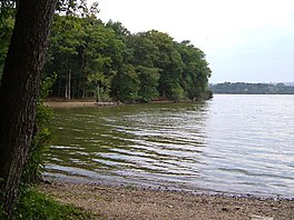 Photo of lake with trees