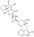 Ergopeptino