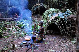 Пігмеї, представники центральноафриканської раси