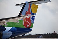 Livrée d'Island Air sur l'empennage