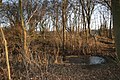 Im Inneren der Feldholzinsel ist noch der Wassergraben und dahinter der Hügel der Vorburg sichtbar.