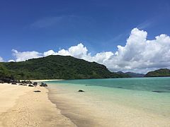 Spiaggia dell'isola Mtsamboro