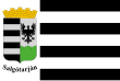 Vlag van Salgótarján