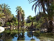 Oasi de Santa Gertrudis, Baixa California