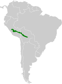Distribución geográfica del ermitaño boliviano.