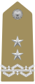 Exèrcit Italià Generale di Divisione Maggiore Generale