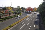 北側進入路 （2020年（令和2年）11月）