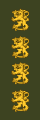 Kenraali (Finnish Army)