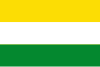 Flag of Wijhe