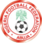 Logo der Nigerian Football Federation