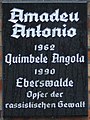 Amadeu Antonio