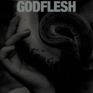 File:Purge (Godflesh album) cover.jpg