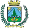 Coat of arms of Ronzo-Chienis