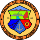 Official seal of Cabangan