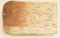 Birch Bark Scroll