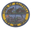 Official seal of Saltville