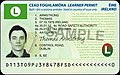 Current Irish learner permit