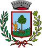 Coat of arms of San Martino di Lupari