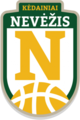 Nevėžis logo (2017-2020)