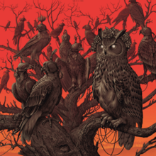 An owl with blank white eyes sitting in a large leafless tree surrounded by falcons with hoods on