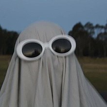 A person with a white sheet over them wearing sunglasses standing in a park with trees in the background