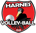 Logo du Harnes Volley-Ball