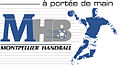 Logo avant 2007