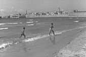 חוף עכו (1951)