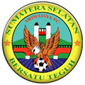 Logo pertama Sriwijaya FC (2005–2008)