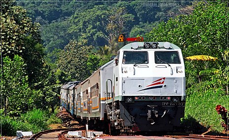 Kereta api Mutiara Timur saat melintas di Stasiun Garahan, 2012