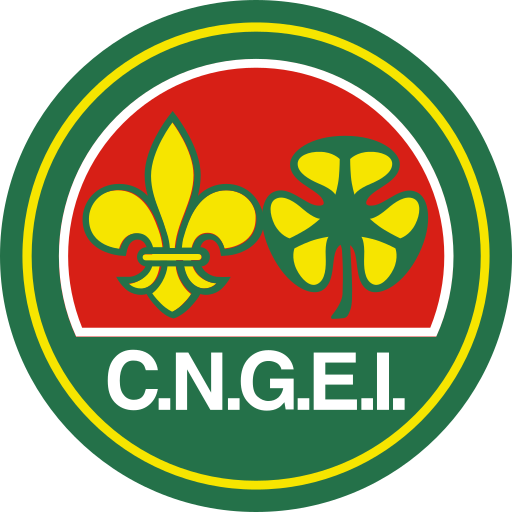 File:Logo CNGEI.svg