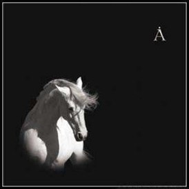 Обложка альбома «Аквариума» «Лошадь белая» (2008)