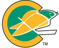 California Golden Seals