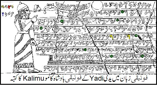 فائل:Phoen1.jpg