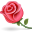  , flower , , , , gif , 