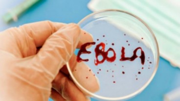 Вакцина от Эболы: почему канадские ученые обошли русских