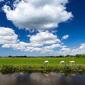 Het Weer in Nederland: Gratis