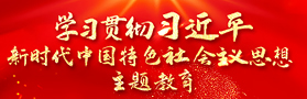 学习贯彻习近平新时代中国特色社会主义思想主题教育