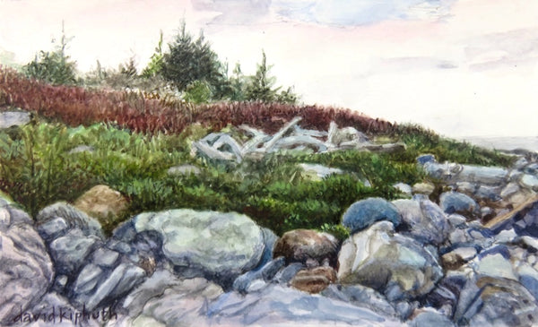 Pebble Beach, Monhegan Is., ME