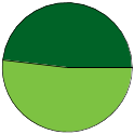 Pie chart of binomial name statuses