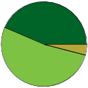 Pie chart of binomial name statuses