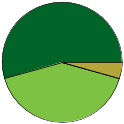 Pie chart of binomial name statuses