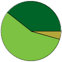 Pie chart of binomial name statuses