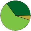 Pie chart of binomial name statuses