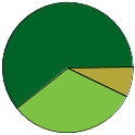 Pie chart of all name statuses