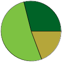 Pie chart of all name statuses