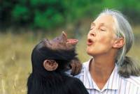 Շիմպանզեների` աշխարհի ամենահայտնի մասնագետը պարգևատրվեց Սթիվեն 
Հոքինգի մեդալով
