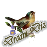 Dream_Diz